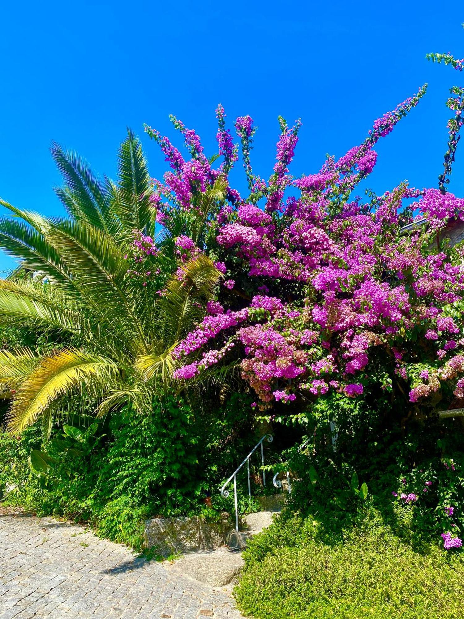 فيلا Quinta De Ribas أمارانتي المظهر الخارجي الصورة